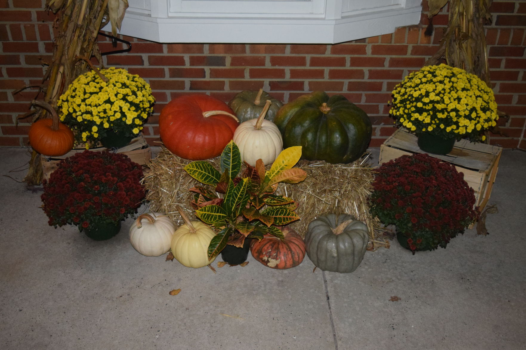 Hoppin Nov. 4 (99).JPG
